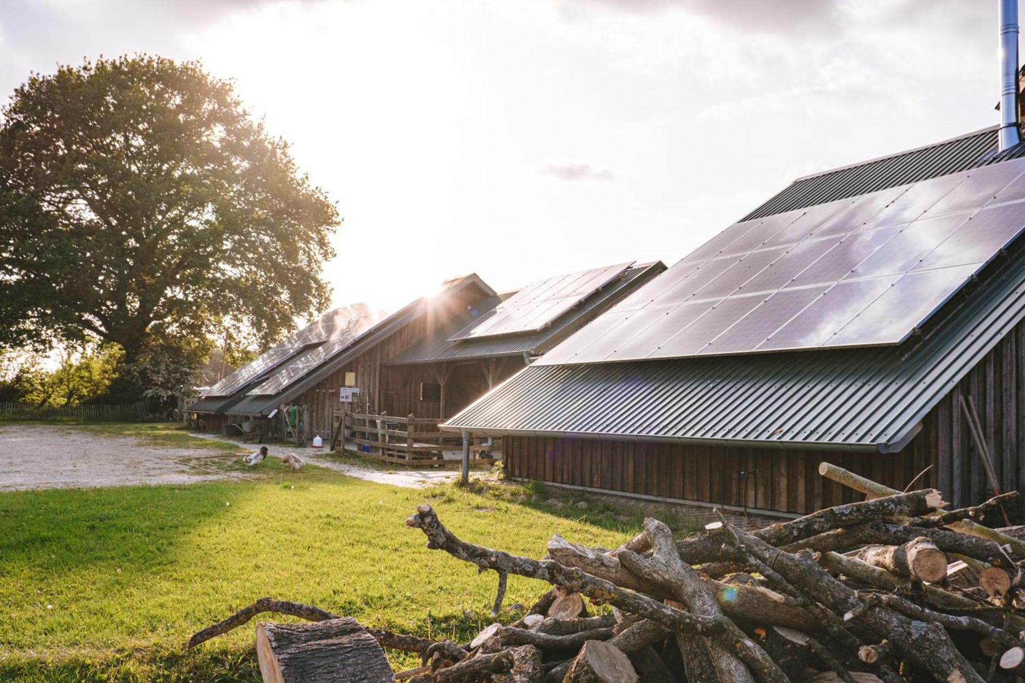 Domo Camp - Nature Glamping Hof Viehbrook Hotel Rendswuhren Exterior photo
