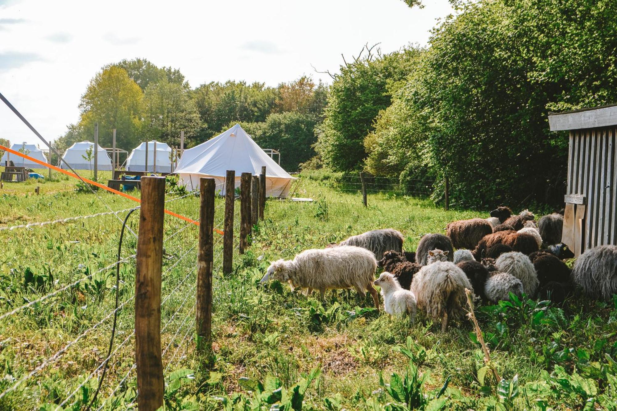 Domo Camp - Nature Glamping Hof Viehbrook Hotel Rendswuhren Exterior photo